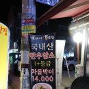 암소와꽃돼지