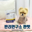 디자인연구소라온 | [콴펫] 관절부터 체중까지 한번에! 반려연구소 콴펫 관절 영양제 솔직 급여 후기