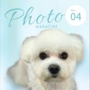 다이아몽 이미지