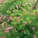 성지 당구장 이미지