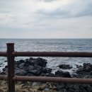 올레길제주고기 이미지