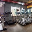 바디캠프 이미지