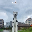 펫마트홍성점