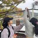 초롱지역아동센터 이미지