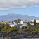 앞개포구 이미지