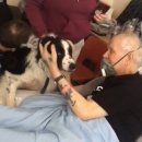 똥강아지 이미지