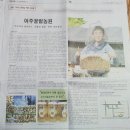 여주꿀벌농원