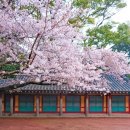 대흘보건진료소 이미지