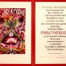 파블로 네루다의 생애와 작품 이미지