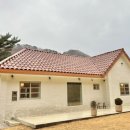 스테이서화 이미지