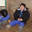 돼지학교 이미지