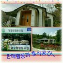 환평약초체험마을영농조합법인 | 밤새축제 청주행사 사회적경제기업과 맘스캠프와의 축제