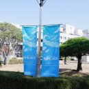 한국체육대학교 이미지