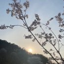 선일2농장 | 대전 선일농장 _ 가족 식사, 오월드 맛집, 벚꽃길