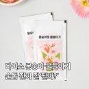 봉숭아손톱 | 다이소 봉숭아 물들이기 내돈내산 아이랑 해본 후기(가격, 방법, 지속력, 리뷰)