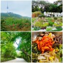 걷기 일상 - 남산둘레길 도시바람길숲(feat. 남산 산채촌)