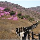 벽계관광지(입구) 이미지