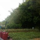 송라목장 이미지