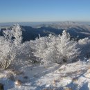 제182차 정기산행 (01/10)지리산(노고단-반야봉) 이미지