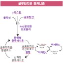 신우리약국 이미지