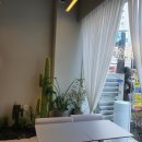 디저트39둔산 이미지