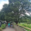 향기나는 작은도서관 | 전주 가볼만한 곳 아이랑 여름 전주 여행 (전주 자연생태관, 동문 헌책 도서관)