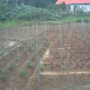 용원농장 이미지