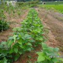 갯벌농장 이미지