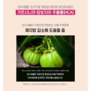 정답은꽃 이미지