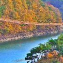옥순대교 이미지
