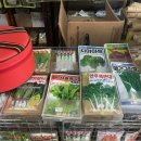 흥농종묘사 이미지