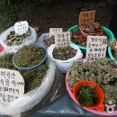 무주자연약초
