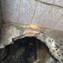 송탄여관 이미지