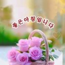 정성의료기상사 Daum카페