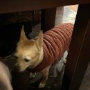 사주체육관 | 전주 전북대 마이다스사주카페 - 전주 사주,타로 잘보는 곳(수제청음료까지!)