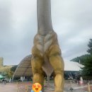 아이와 함께 다녀온 고성공룡박물관 후기! 브레드이발소까지 완벽했던 가족여행 추천