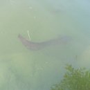 금왕읍사무소 이미지