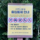 한라산둘레길 사려니숲길 | [제주] 한라산둘레길8구간(절물조릿대길) 사려니숲길, 주차장 l 제주도 할 거, 산책코스