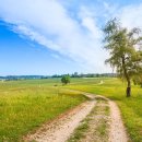 알프스 농장 이미지