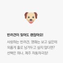 제주 자동차 극장 이미지