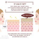 내돈내산 : 뉴스킨 180도 : AHA BHA PHA / 아하 바하...피부턴오버주기 맞추기 대작전 +개인적인 사용후기