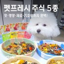 중앙펫 | 펫프레시 강아지 원물간식 주식 5종 먹방 후기! 다견가정 밥꾸 성공