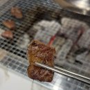 태백사람들 | 태백호텔맛집, 태백알리소 방문 후기