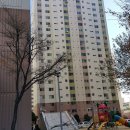 안산시 상록구 본오동 신안1차아파트 106동 14층 171㎡ (52평) 안산10계 2017-12328 아파트경매