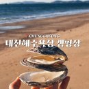 대천해수욕장 국민여가캠핑장(1지구) 이미지