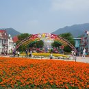 행복세상 이미지
