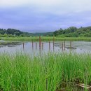 순포습지 이미지