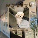 닥터정 동물병원 이미지