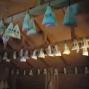 광영스파렉스 이미지