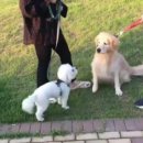 청당산업길 이미지